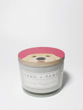 Sand + Paws Sun-n-Fun 12 oz scented candle
